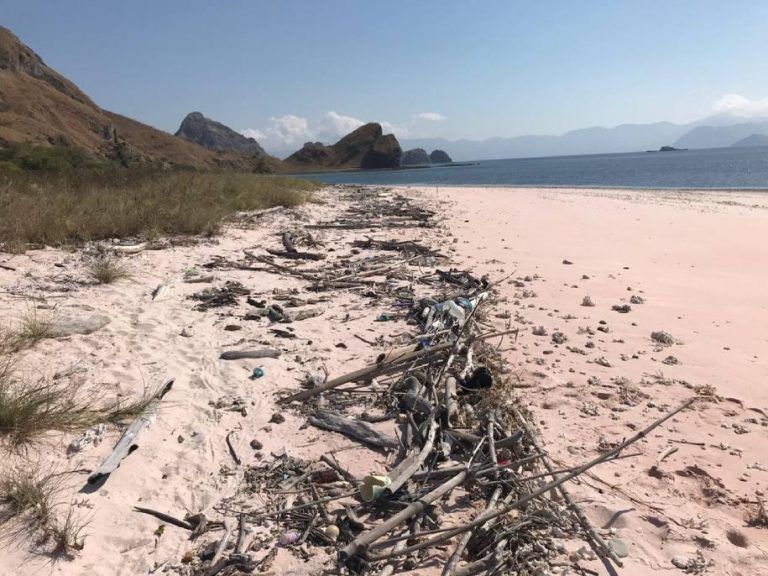 bali_beach_cleanup__3-768x576.jpg