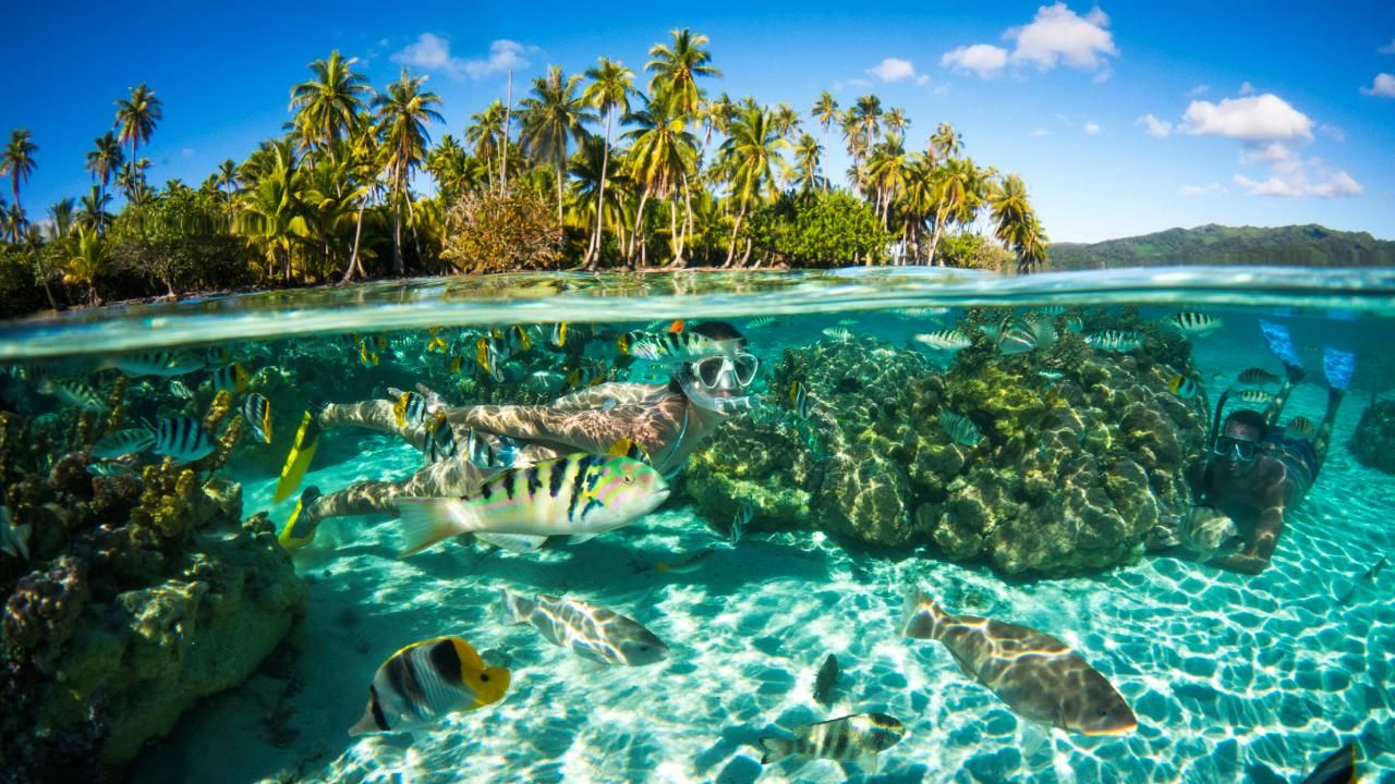 Tahiti 7-Nights Cruise