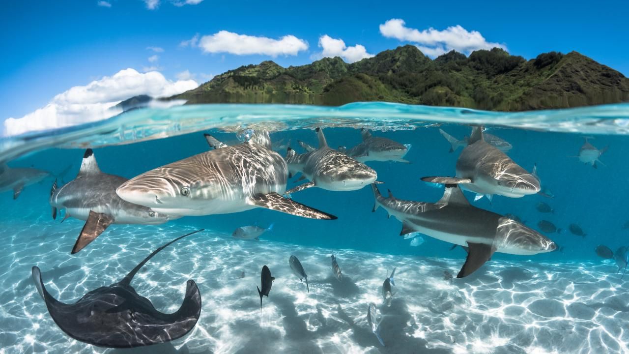 Tahiti 11-Nights